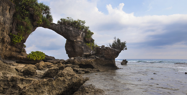 photos of neil island in andaman